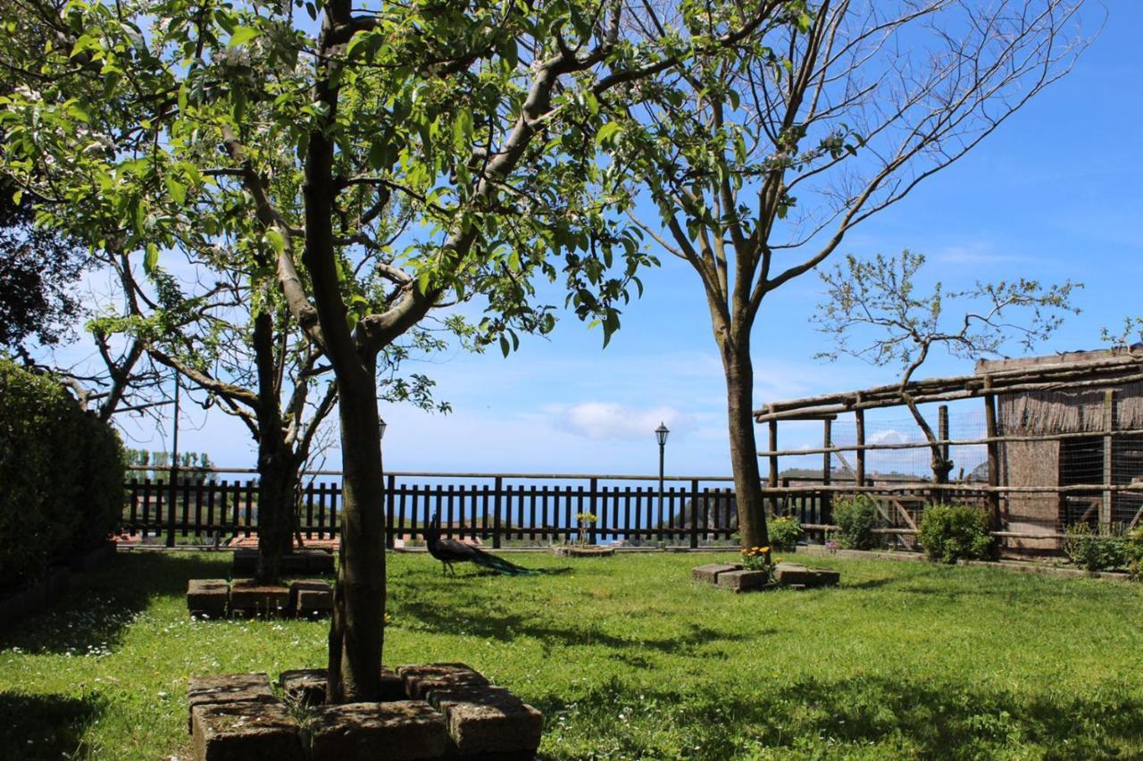 La Casa de Campo *